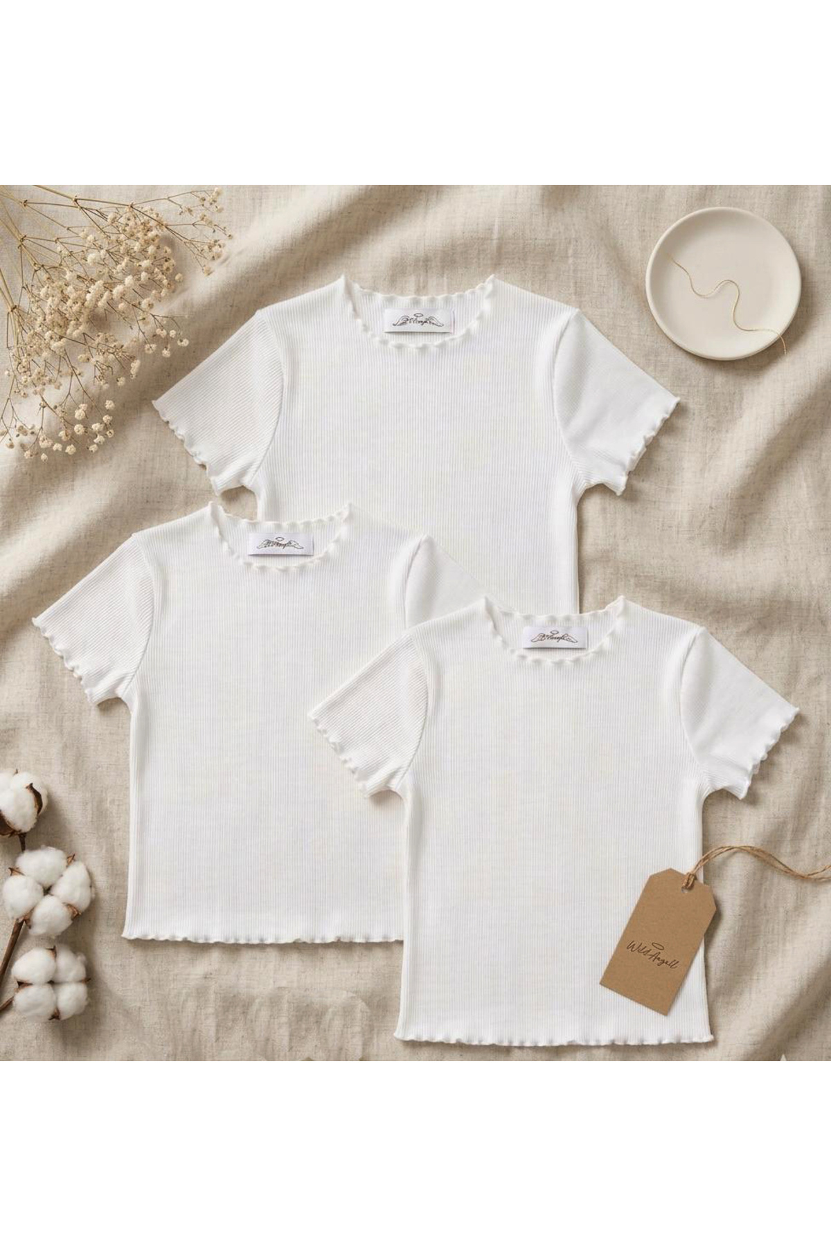 girl , cotton, white, ribbed rib, basic short-sleeved 3-piece T-shirt