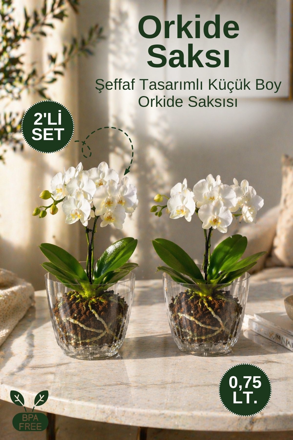 2-Piece Set Small Orchid Flower Pot Set Transparent Orchid Flower Pot with Bottom Plate