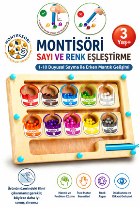BBSKY Montessori Manyetik Renk ve Boya Kovası: 3+ Yaş Eğitici Sayısal Mantık ...