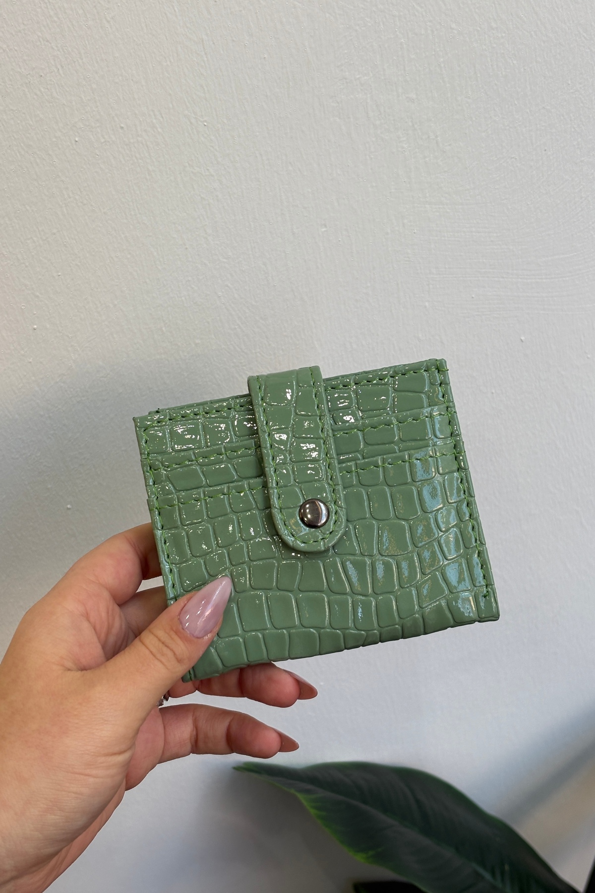 Nile Green Women's Card Holder and Wallet