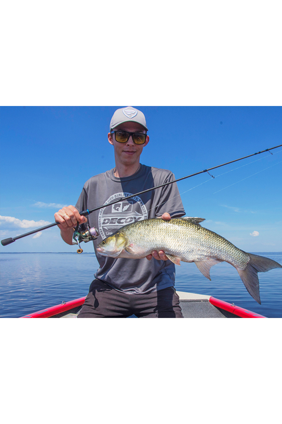 Lanseta Favorite Blue Bird BB1-732L-T 2.19m 3-12g Fast BB1-732L-T 2.19m 3-12g Fast [3]