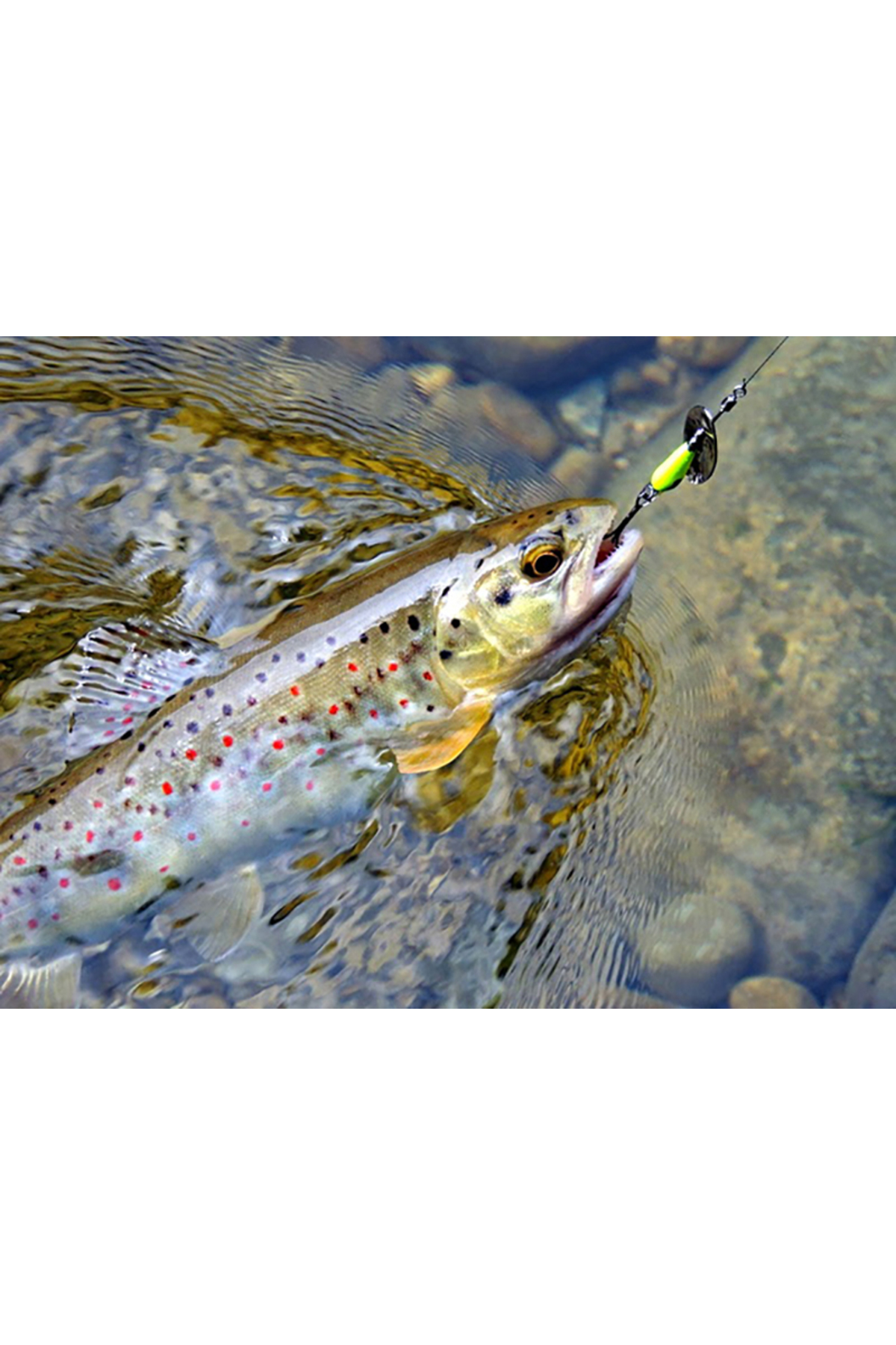 Lingurita rotativa Smith AR-S Spinner Trout 4.5g 23 RSBL AR-S Spinner Trout 4.5g 23 [2]