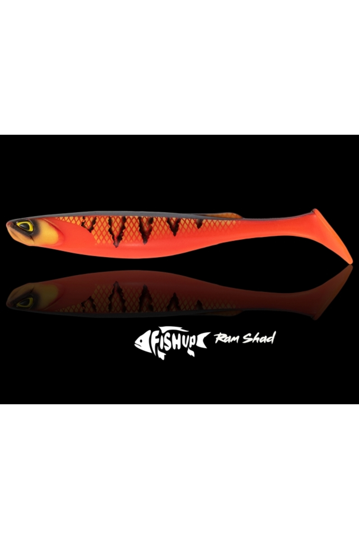 FishUp RAM Shad 20.3cm #358 Golden Shiner 20.3cm #358 Golden Shiner [1]
