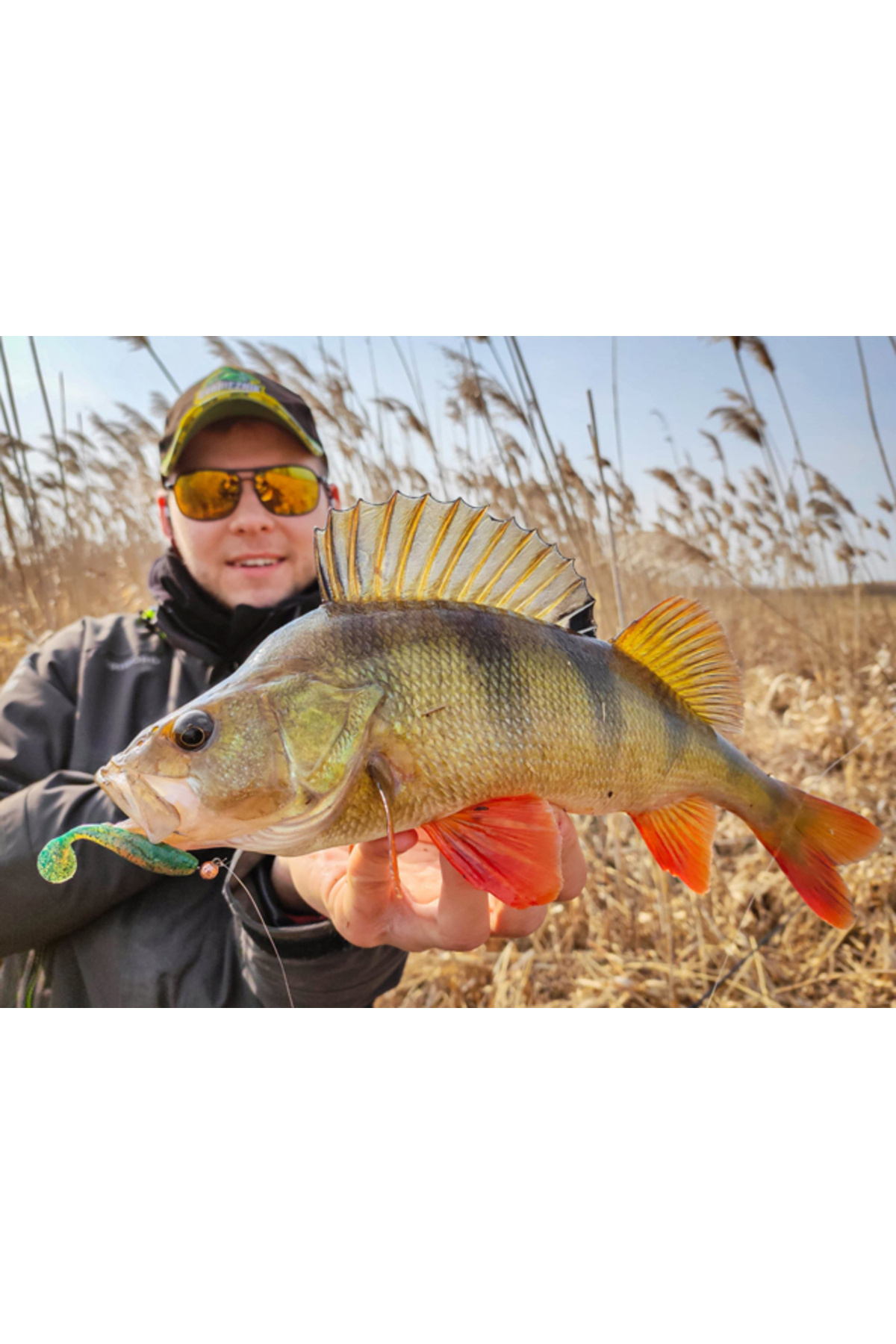 FishUp Wizzle Shad 5cm #046 Lemon 5cm #046 Lemon [3]