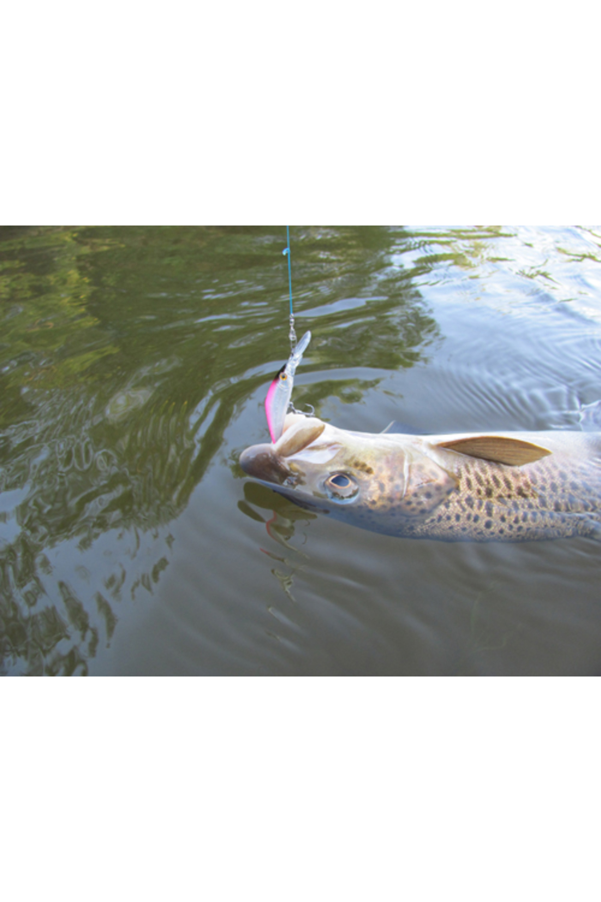 Vobler Smith D Direct 55mm 6g 42 S D Direct 55mm 6g 42 [1]