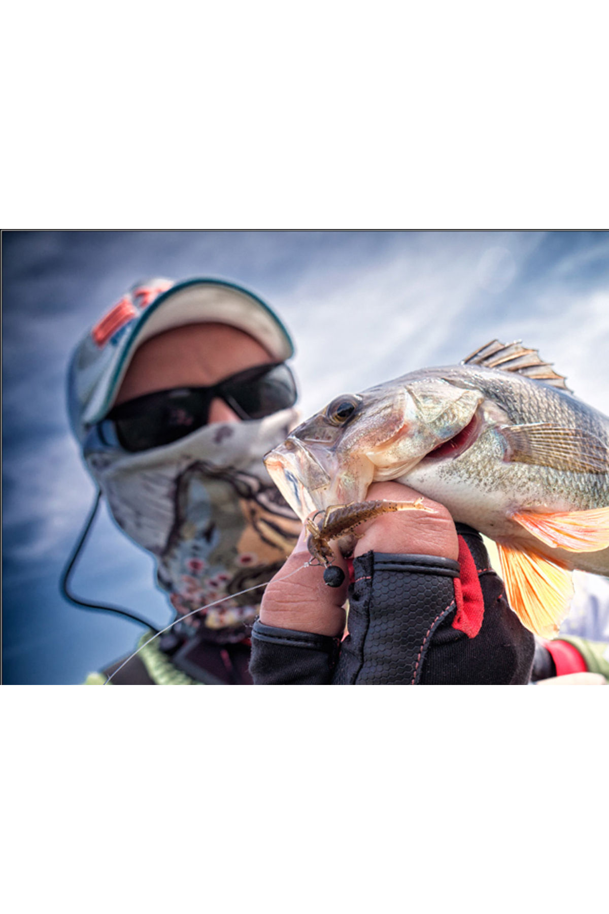 FishUp Diving Bug 5cm #045 Green Pumpkin Red & Black 5cm #045 Green Pumpkin Red & Black [2]