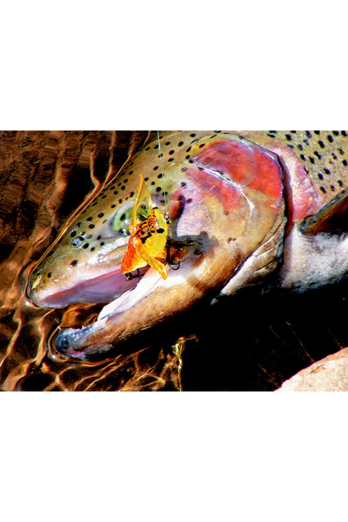 Vobler Smith Bisen 38mm 2.6g 28 Bisen 38mm 2.6g 28 [1]