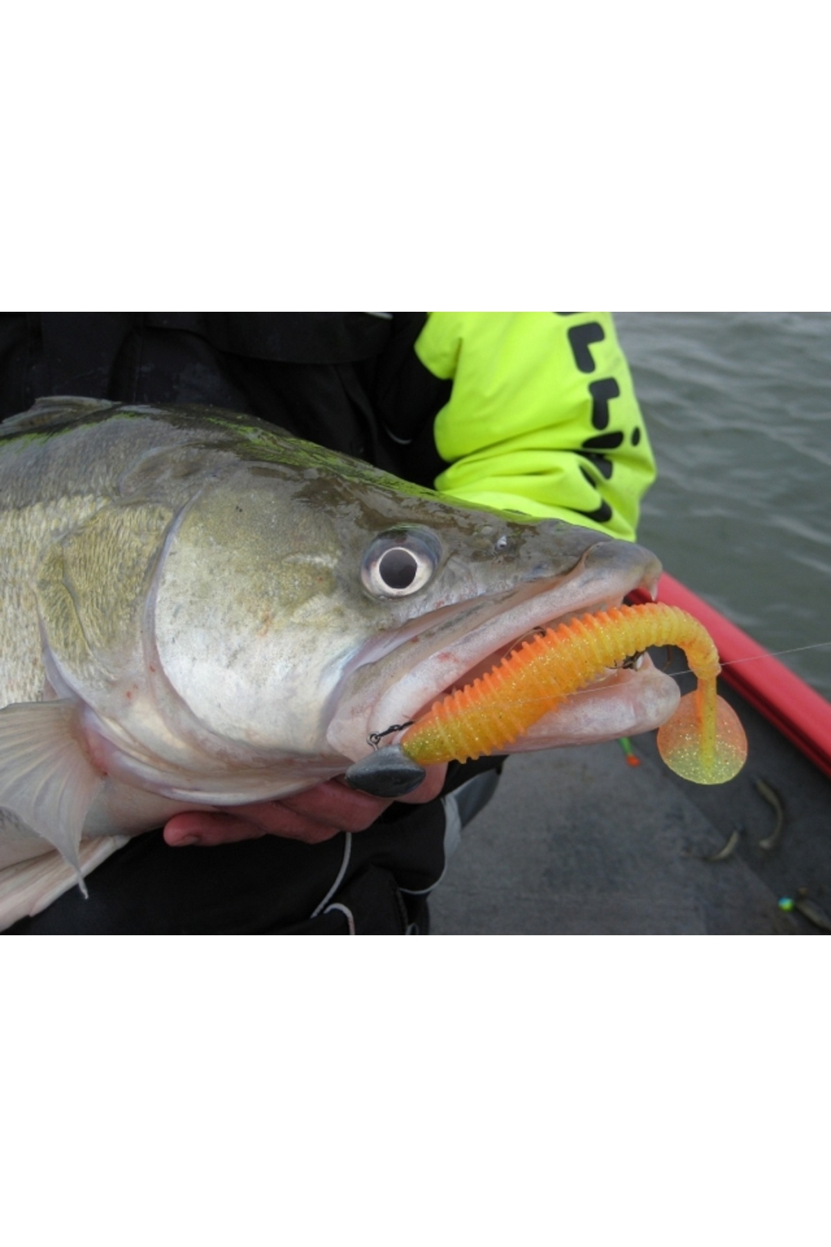 Swing Impact FAT Bluegill Flash 418 10.9cm [3]