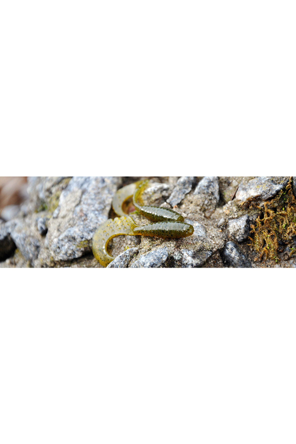 FishUp Fancy Grub 2.5cm #081 Pearl 2.5cm #081 Pearl [1]