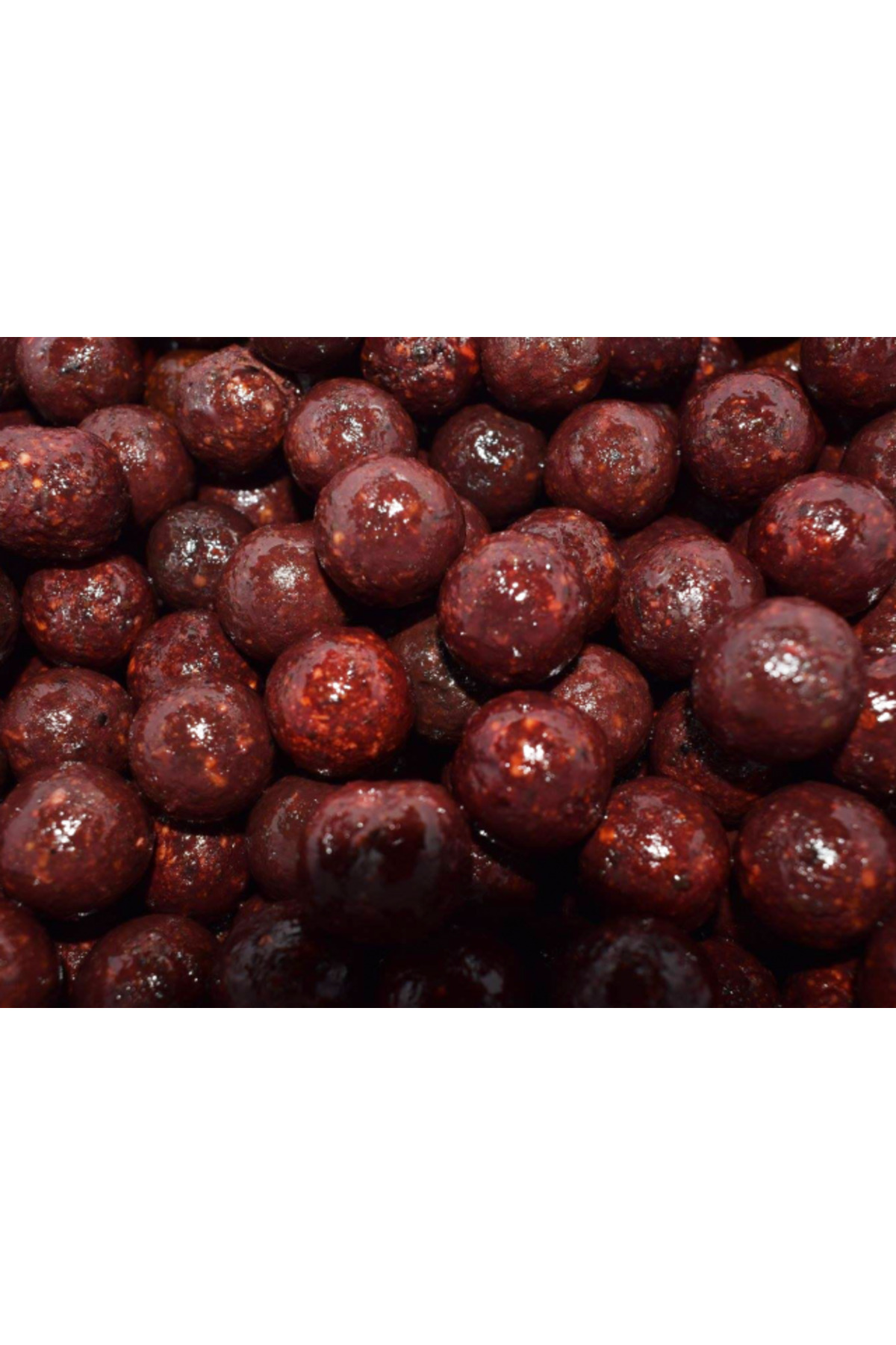Select Baits boilies Meat & Fish + Squid & Octopus & Cranberry 20mm (fierte) / 1 kg [2]