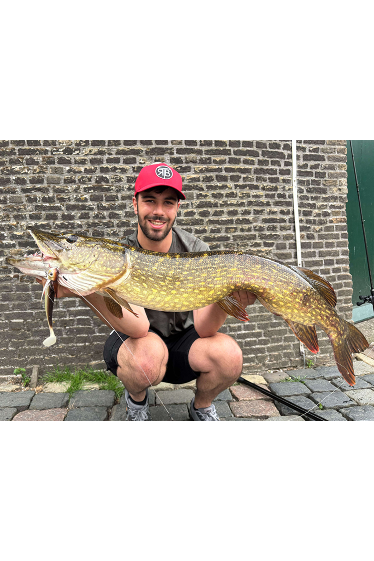 Coada de rezerva Blackbay BlackTail Rooster Junior 14cm 20g Chub 14cm 20g Chub [2]