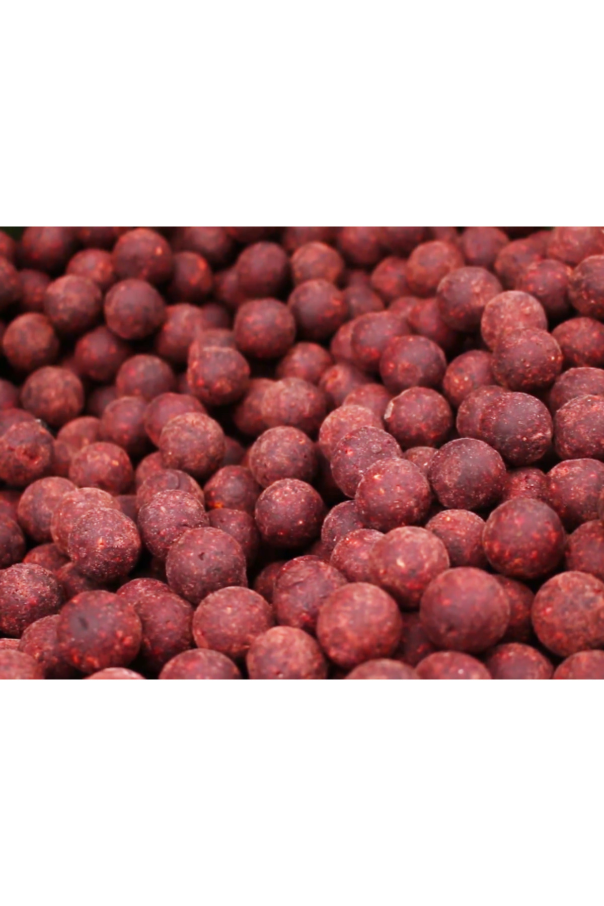 Select Baits boilies Meat & Fish + Squid & Octopus & Cranberry 20mm (fierte) / 1 kg [1]