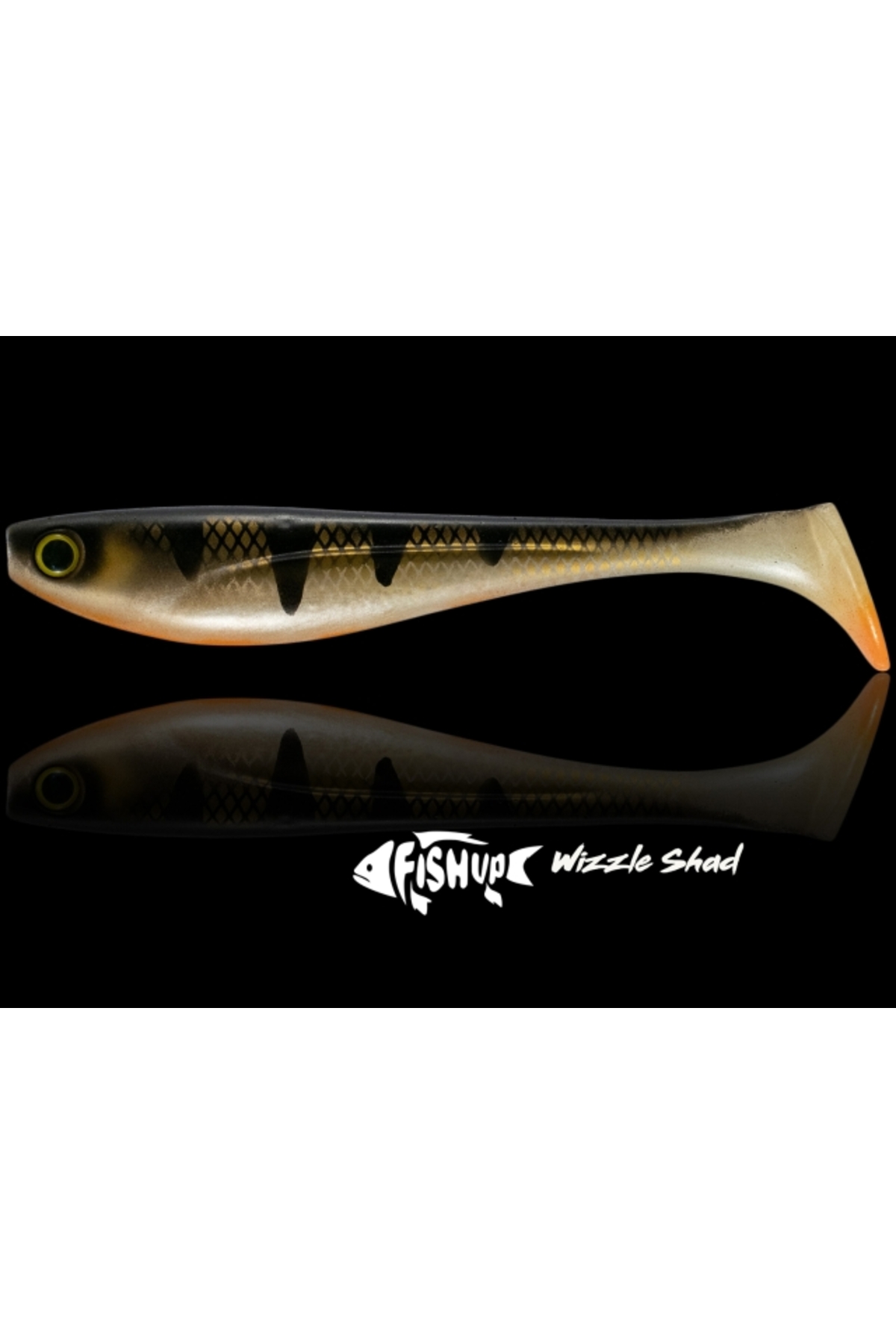 FishUp Wizzle Shad Pike 20.3cm #352 Blue Shiner Chart 20.3cm #352 Blue Shiner Chart [1]