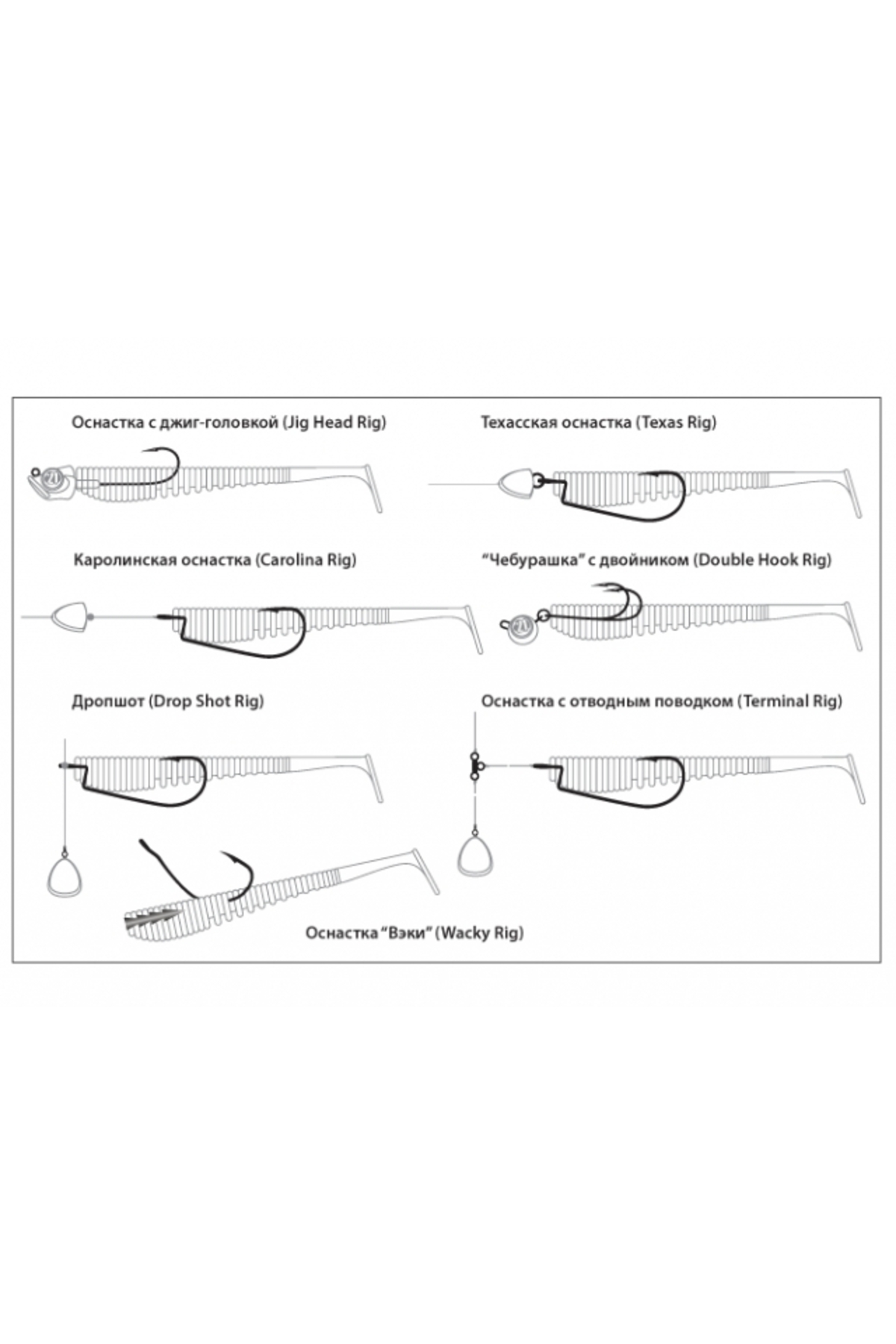 Shad Pontoon21 Awaruna EVO 3310 15.2cm [3]