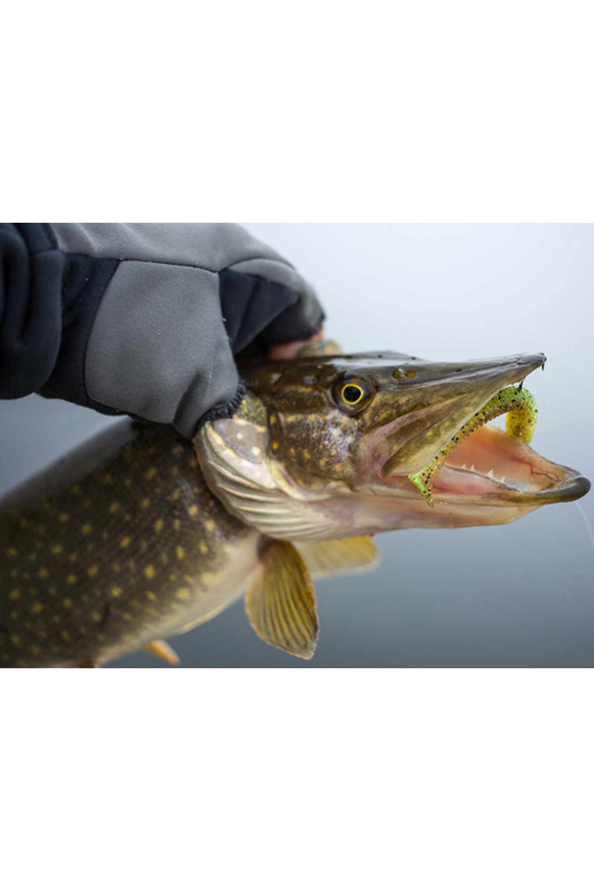 Shad Keitech Swing Impact Slim Delta Craw 407 6.3cm [1]