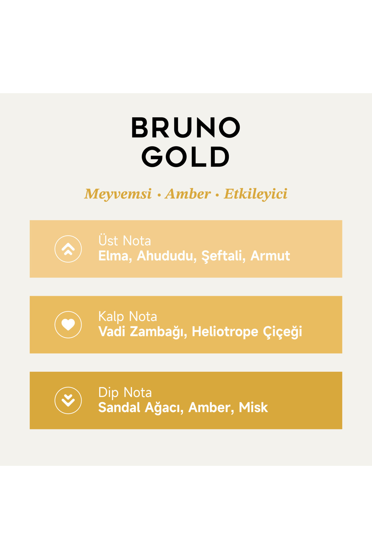 Mad Bruno Gold 100 ml Unisex Parfüm | Meyvemsi . Amber . Etkileyici — 1234 — تصویر 2 از 7