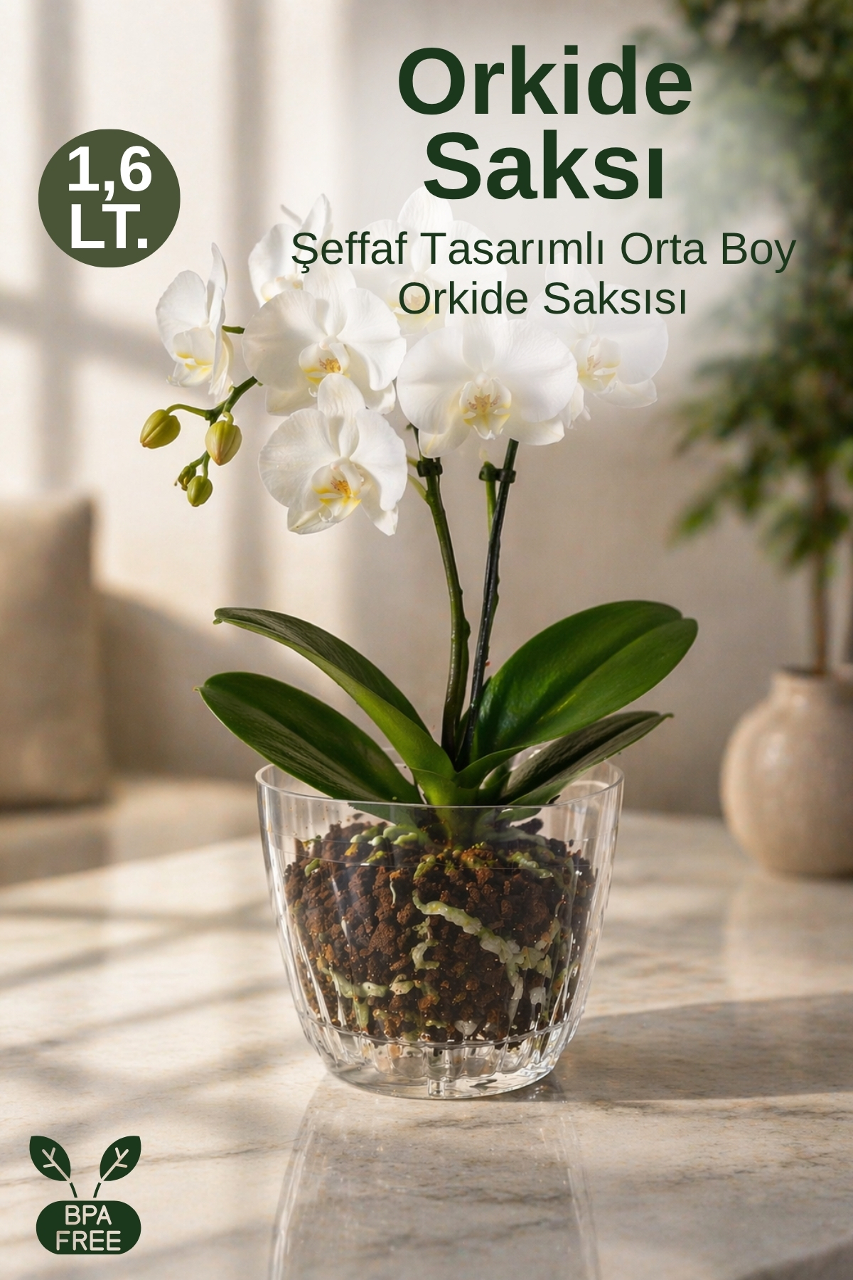 Medium Transparent Orchid Flower Pot Decorative Flower Pot with Bottom Plate