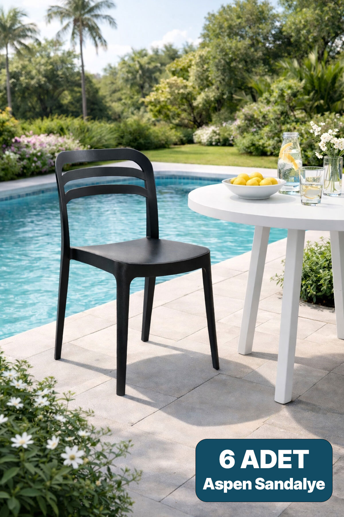 Aspen Garden Balcony Colorful Chair Black Set of 6
