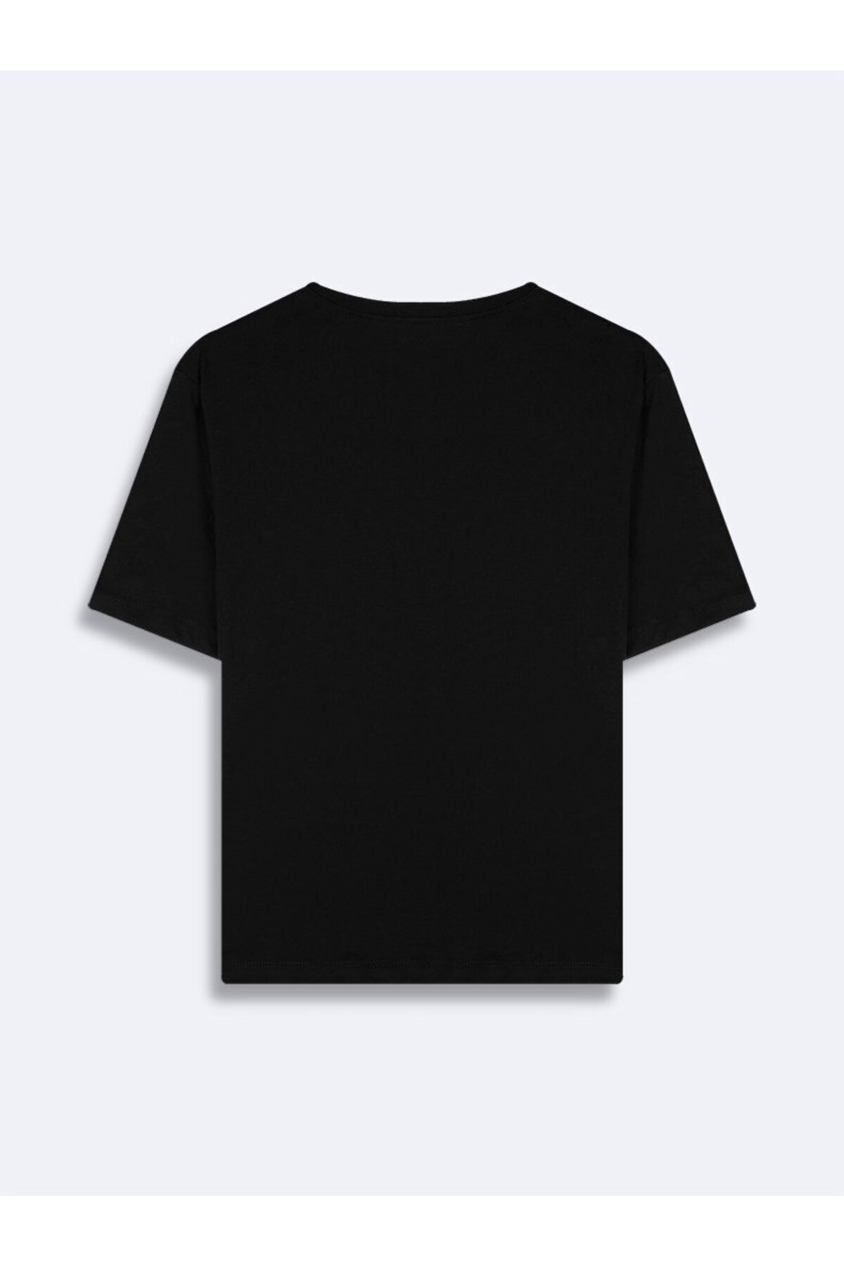 Ltb Basic Siyah T-shırt görsel 2