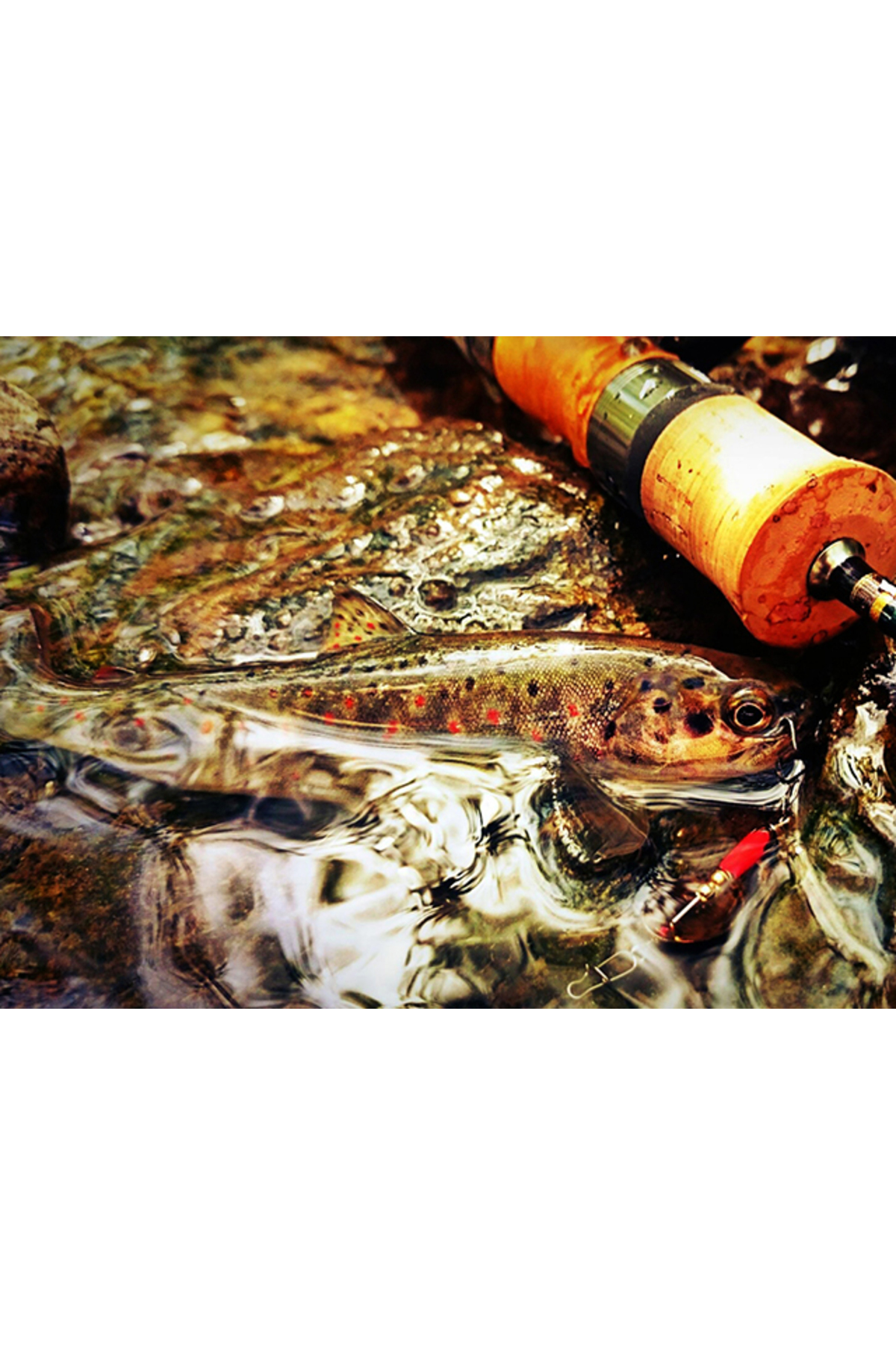 Lingurita rotativa Smith AR-S Spinner Trout 2.1g 19 GRYL AR-S Spinner Trout 2.1g 19 [1]