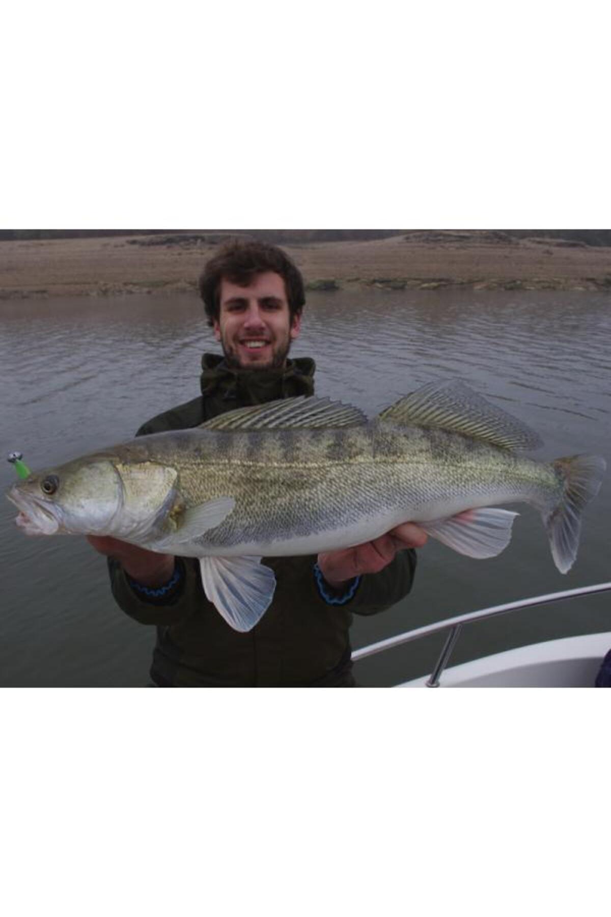 Easy Shiner Bluegill 205 8.9cm [2]