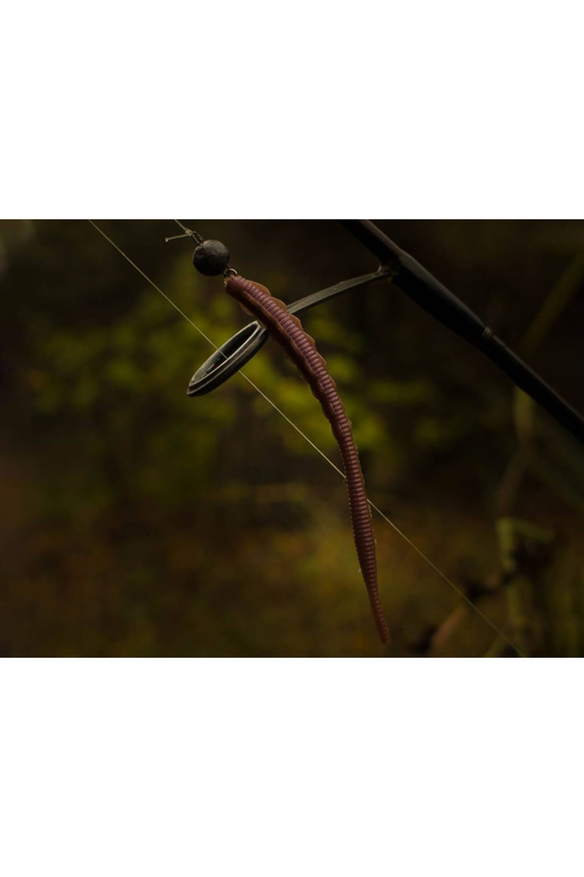 FishUp Trout Series Scaly Cheese 7cm #103 Yellow 7cm #103 Yellow [1]