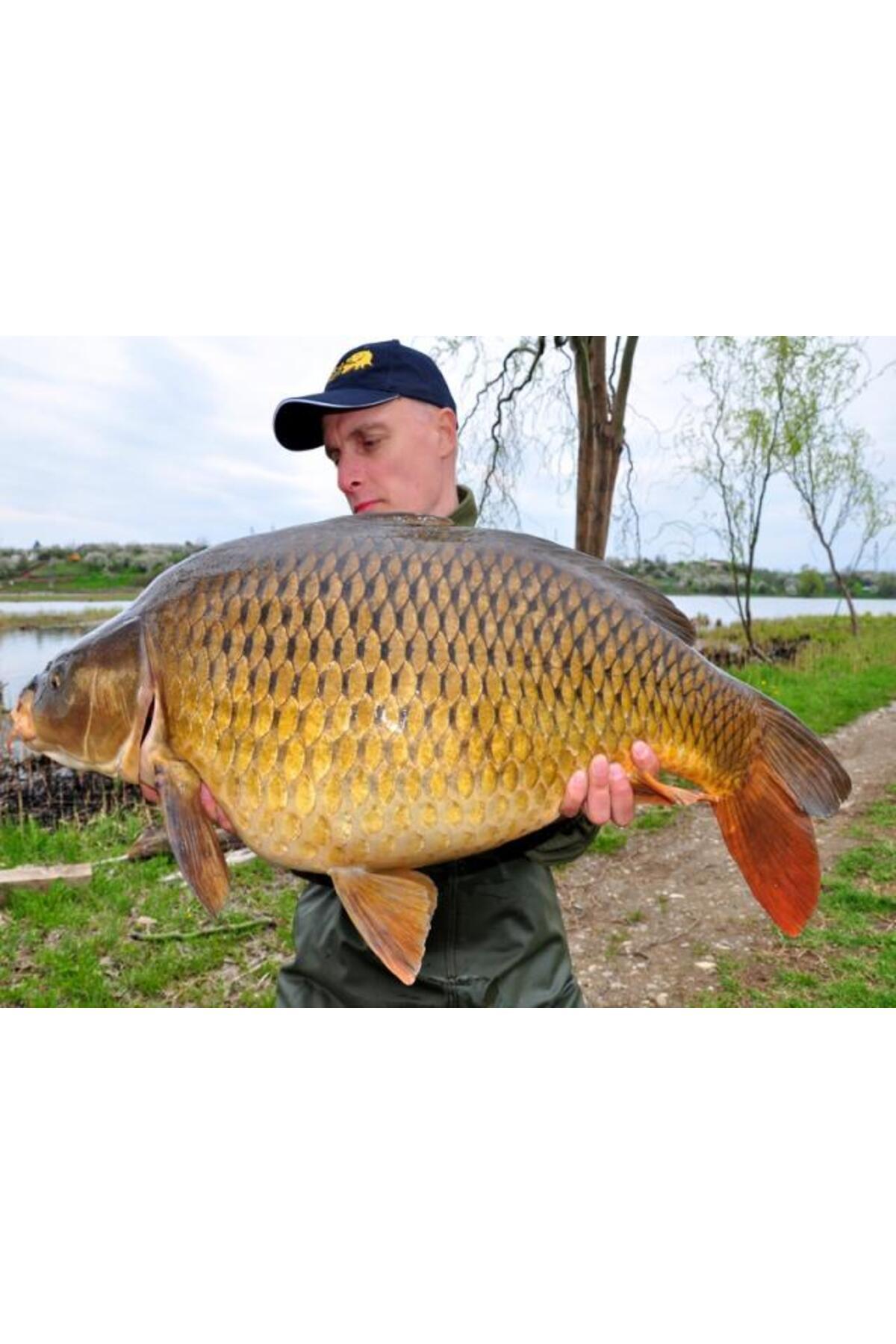 Select Baits boilies Hot Fish + Monster Crab & Black Pepper Oil 24mm (solubile) / 1 kg [2]