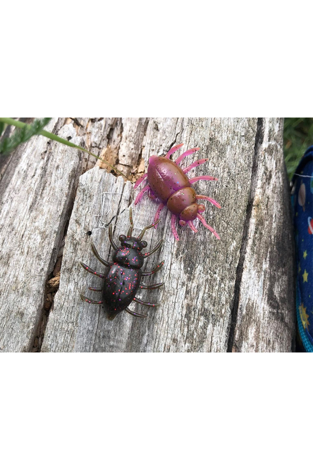 FishUp Maybug 2.5cm #050 Green Pumpkin Brown Red and Purple 2.5cm #050 [3]