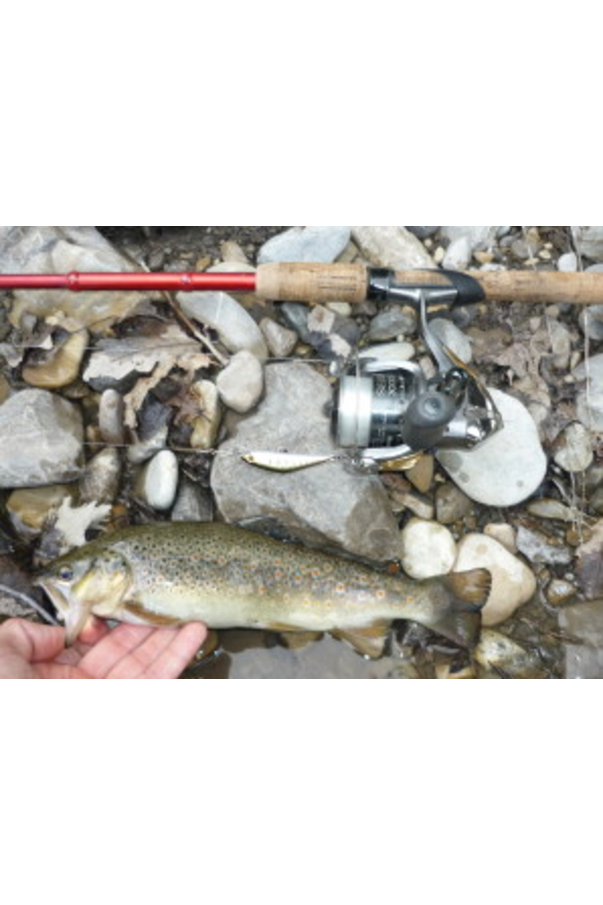 Smith D Contact 50mm 4.5g 29 S D Contact 50mm 4.5g 29 [3]