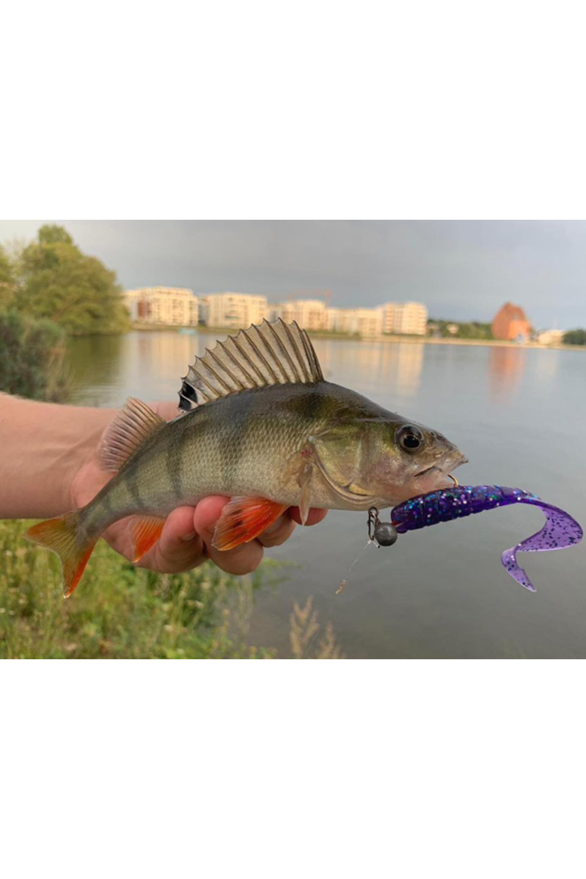 FishUp Mighty Grub 13.3cm #046 Lemon 13.3cm #046 Lemon [3]