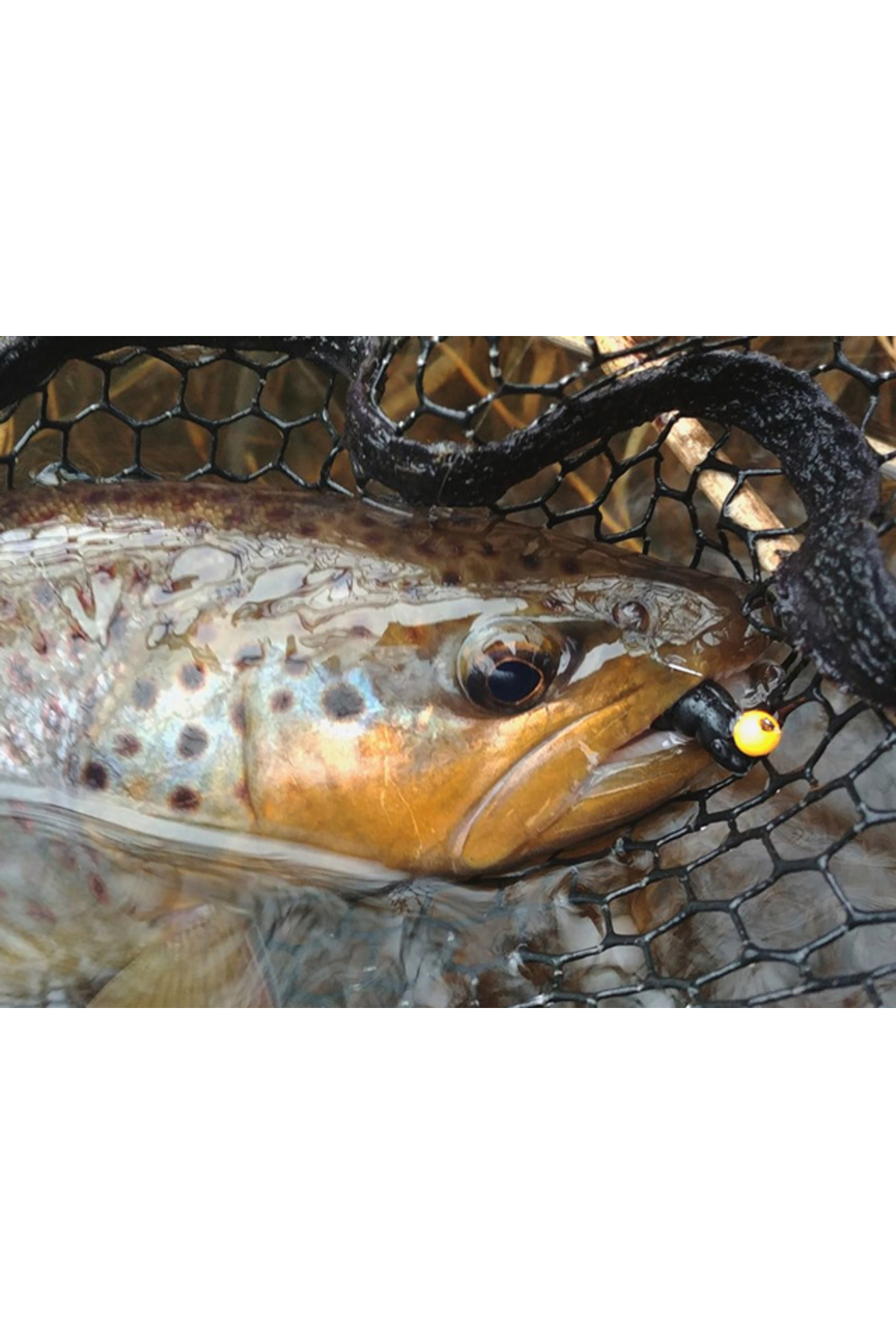 FishUp Trout Series Cheese Yochu 4.3cm #104 Coffee Milk 4.3cm #104 Coffee Milk [2]