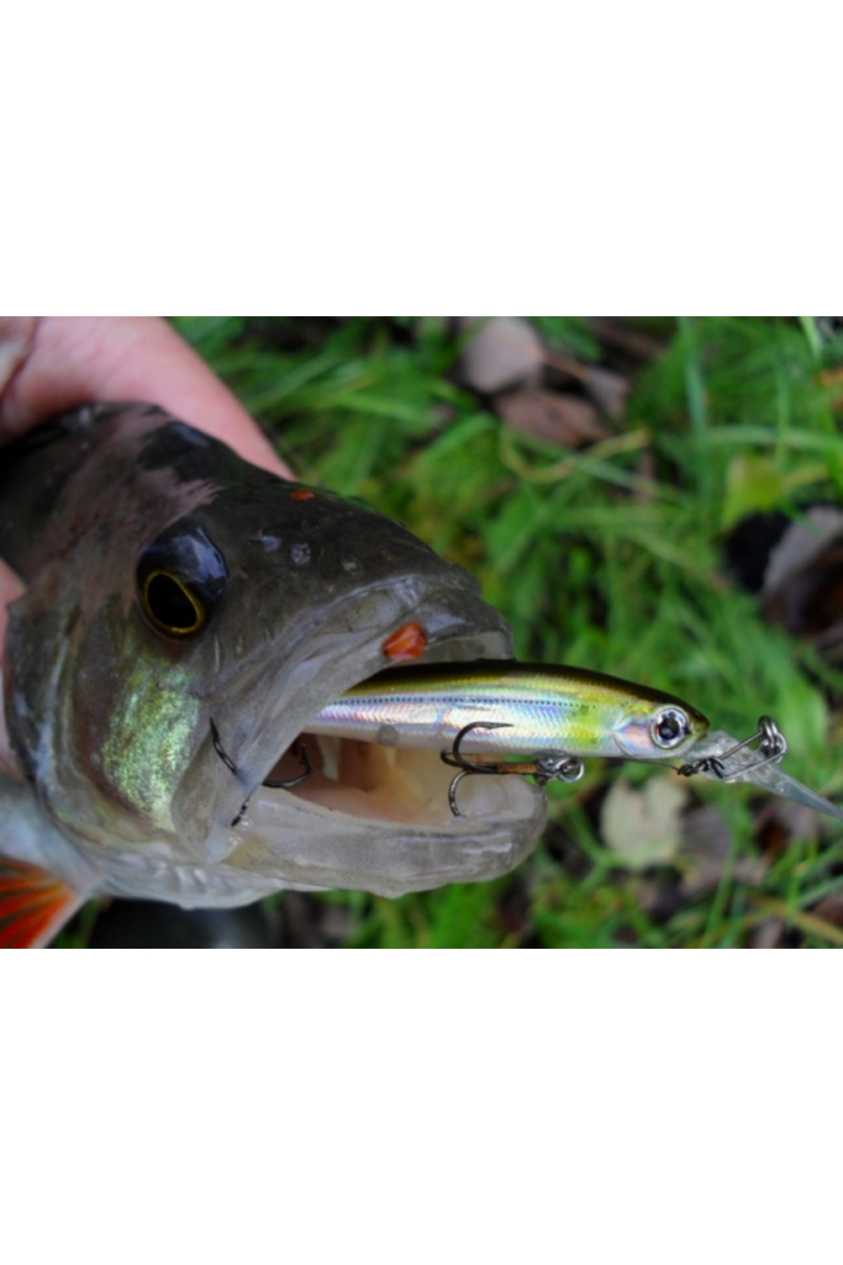 Vobler Smith Still 40mm 1.4g 07 S Still 40mm 1.4g 07 [2]