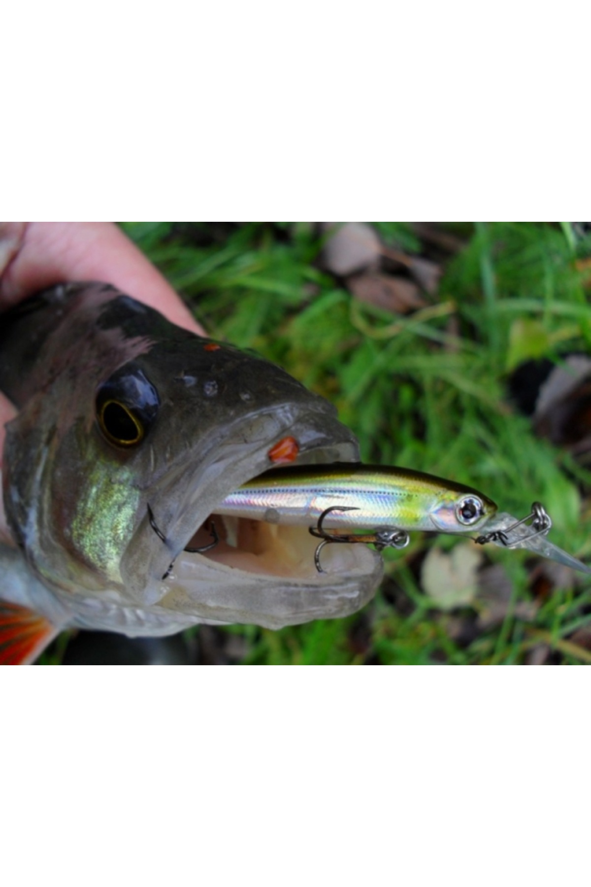 Vobler Smith Still 40mm 1.4g 12 S Still 40mm 1.4g 12 [2]