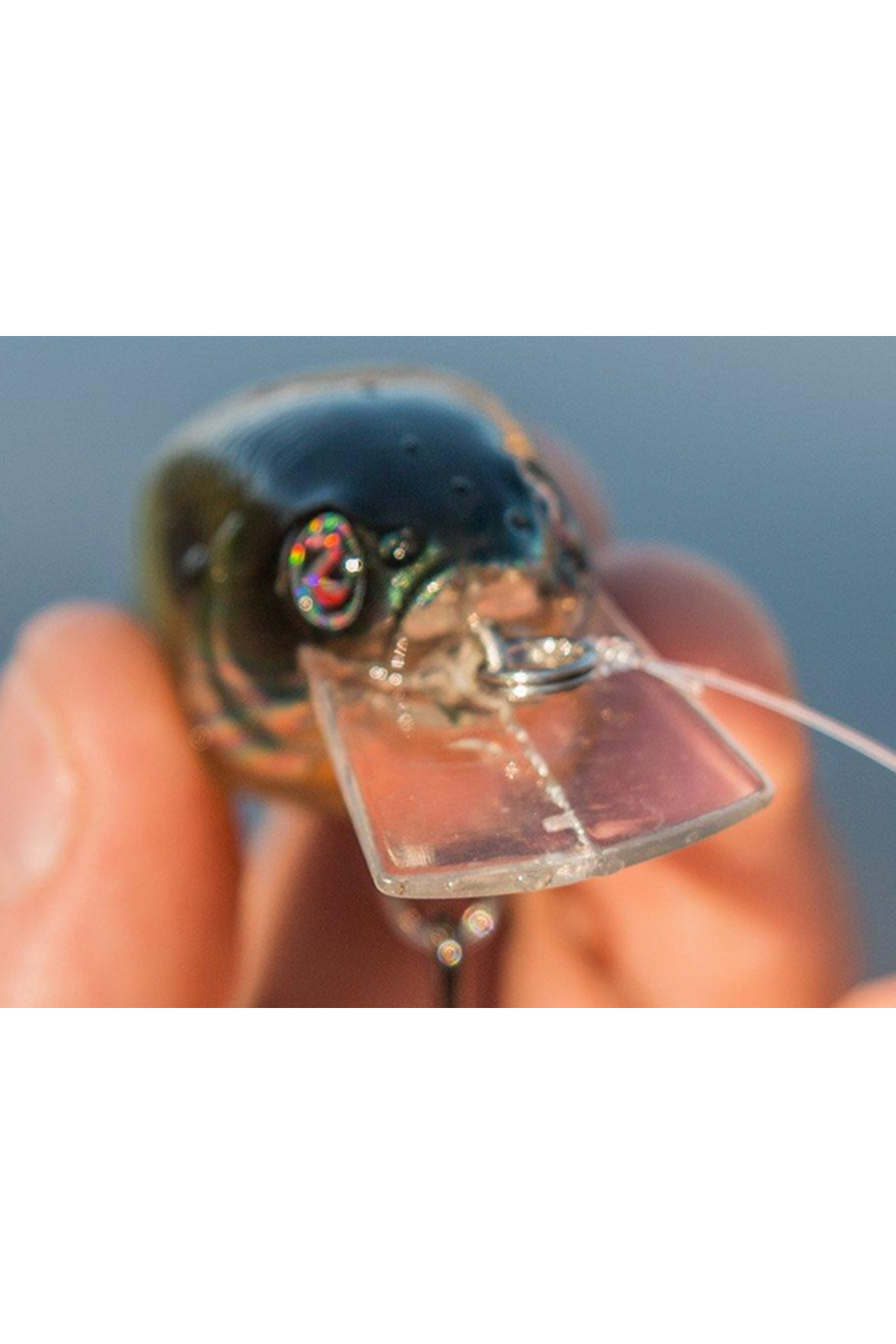 Vobler River2Sea Biggie 67 6.7cm 16g Horizon Shad 39 F 6.7cm 16g Horizon Shad 39 [3]