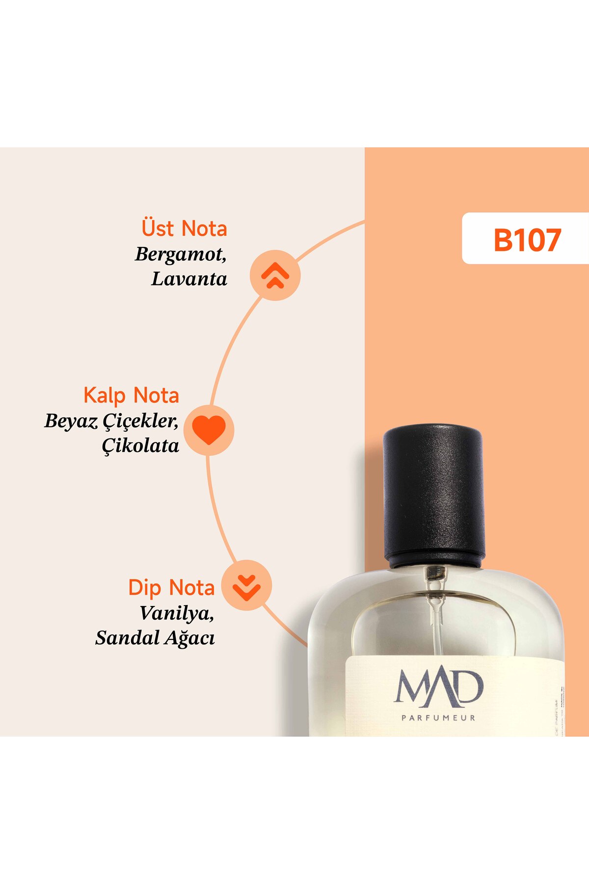 Mad B107 Selective 50 ml Kadın Parfüm — 5F B.107 — تصویر 4 از 7