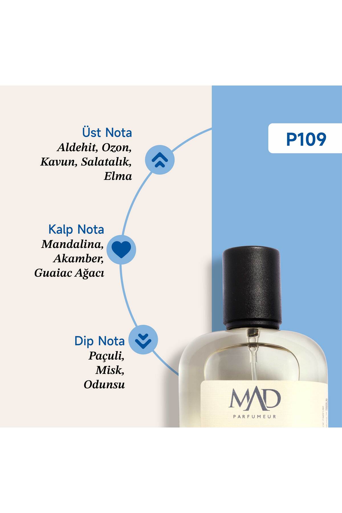 عطر مردانه مد P109 سلیکتیو 100 میلی لیتر