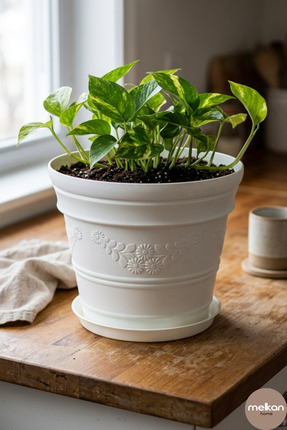 Melkan Home Papatya Desenli Dekoratif Beyaz Saksı 3 Litre – Dayanıklı Çiçek S...