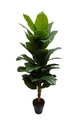 ŞA-DAL STORE Yapay Difenbahya Ağacı 180 Cm