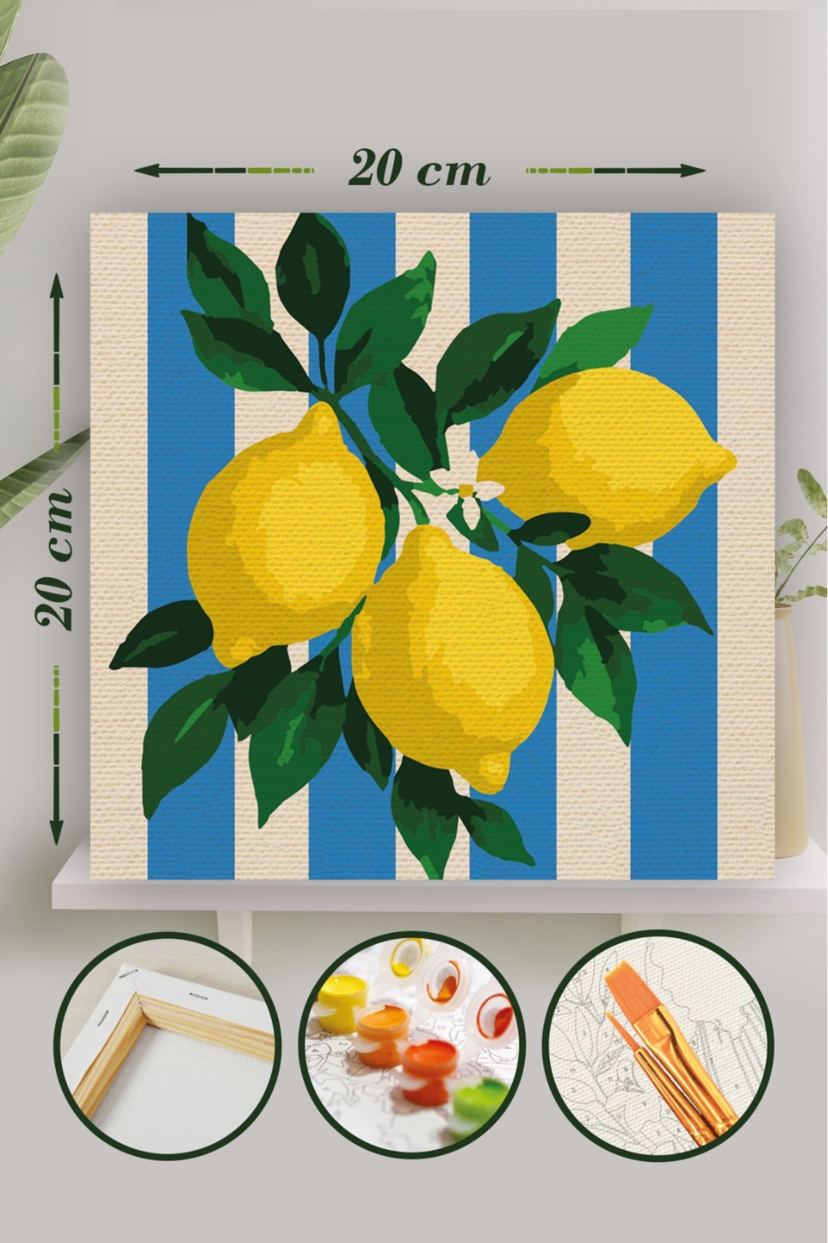 Sayılarla Boyama 20x20 Cm Tuval Seti Fırça Boya Dahil Çıtaya Gerili - Limon