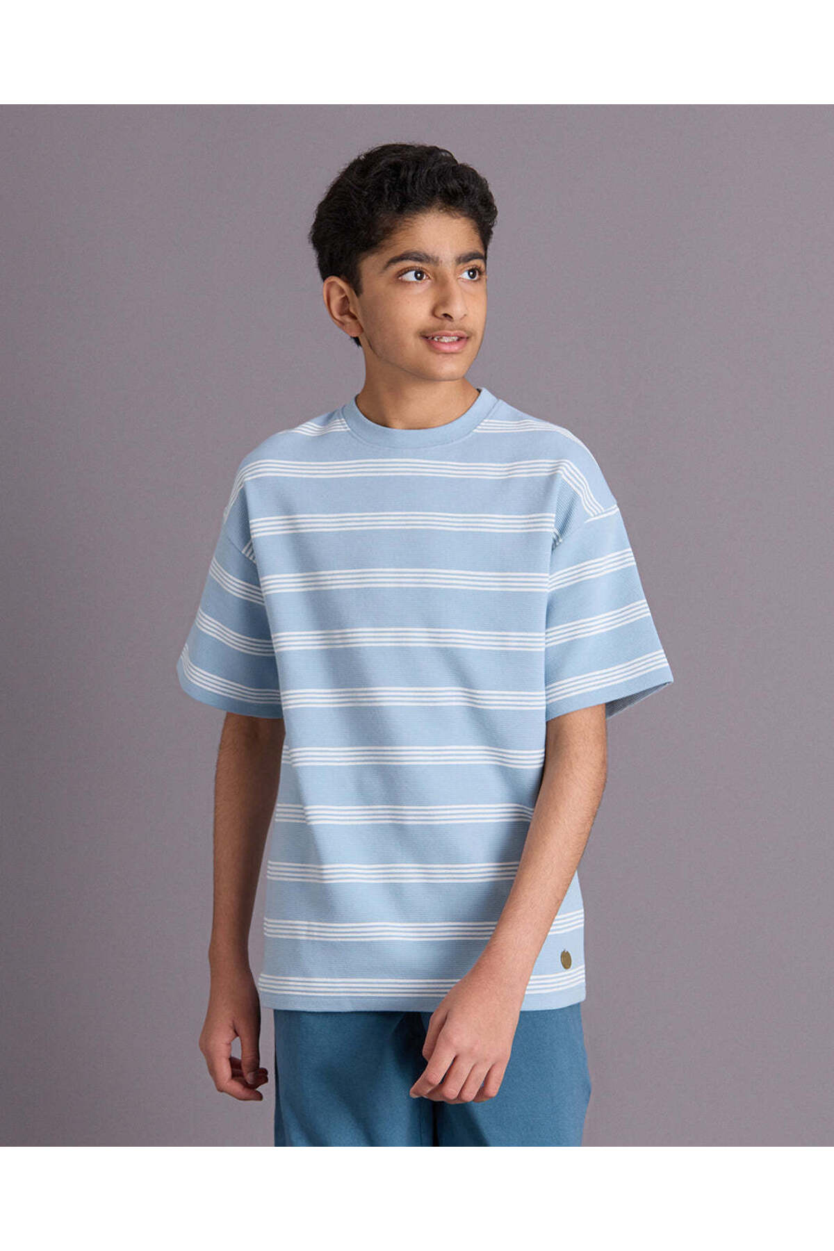 REDTAG Senior Boys Blue Striped T-Shirt