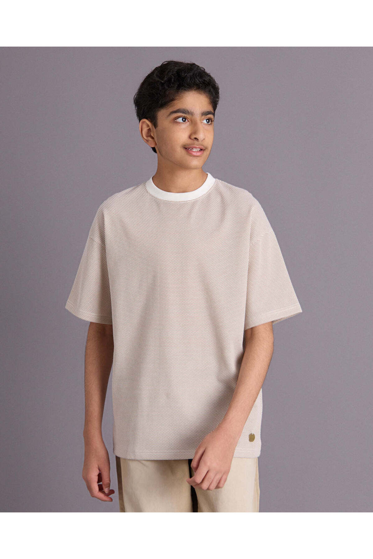 REDTAG Senior Boys Beige Embellished T-Shirt