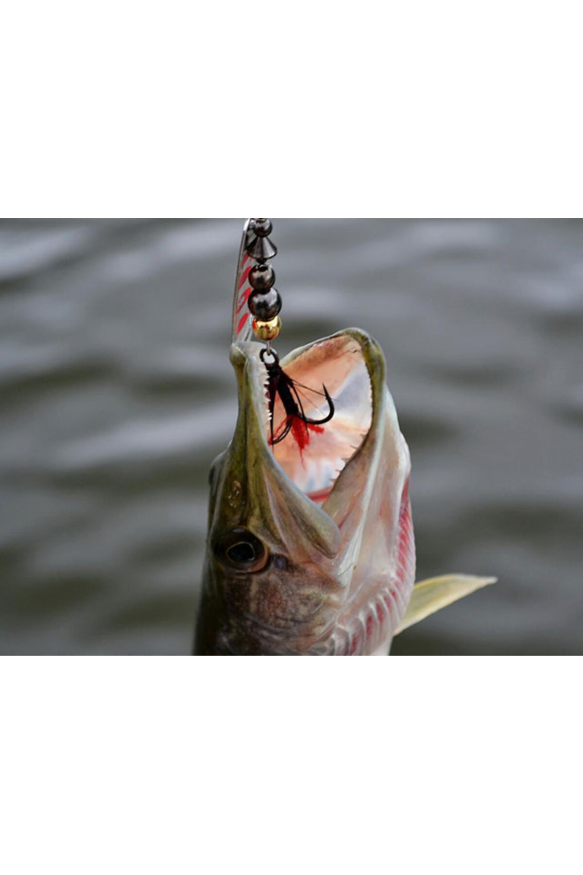 Lingurita rotativa Pontoon21 Ball Concept Spinner 2 4.5g BT01-051 4.5g [3]