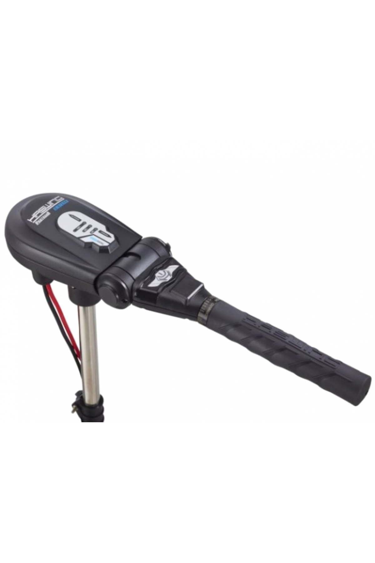 Motor electric Haswing Protruar 3 HP 110lb Brushless Protruar 3 HP 110lb [1]