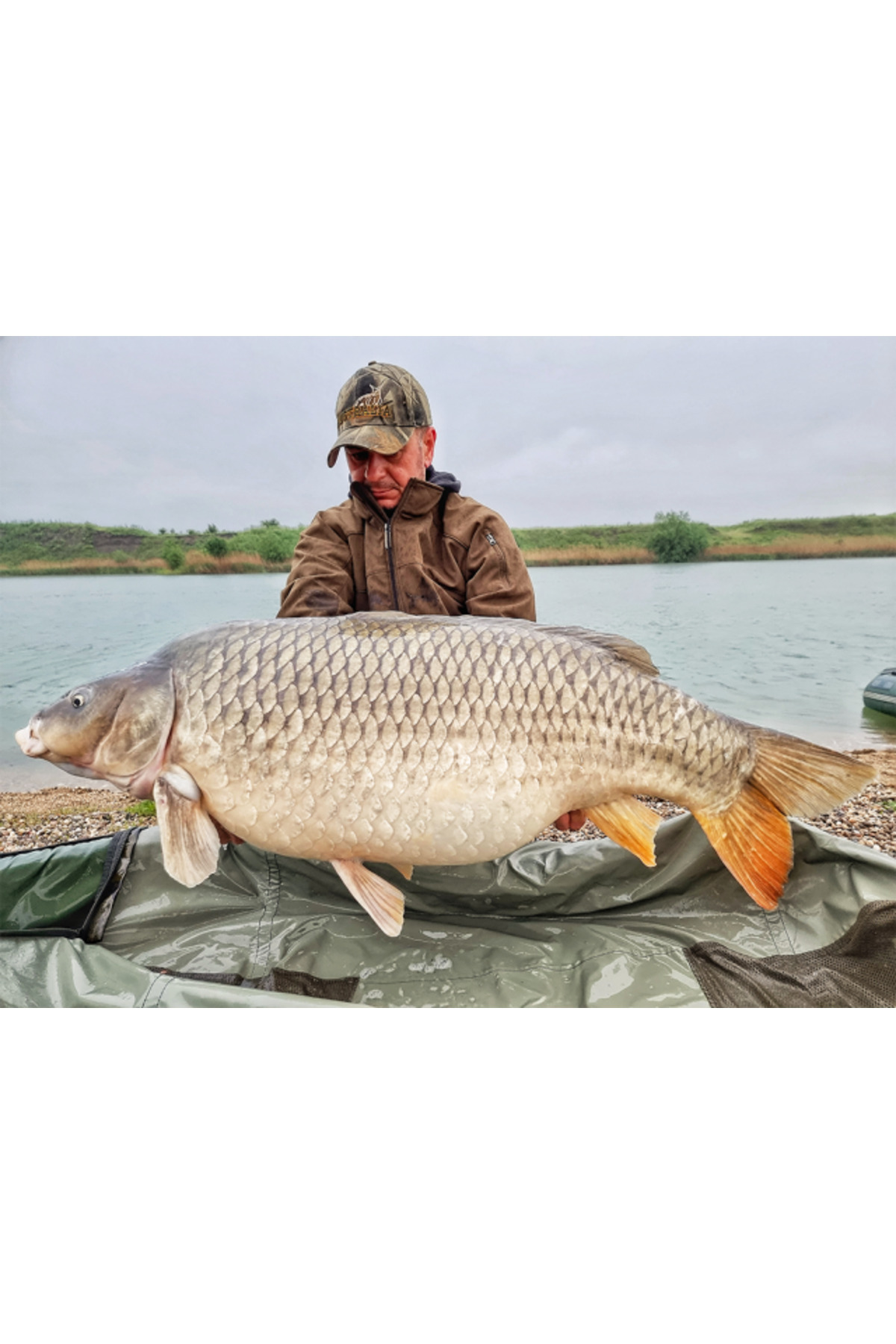 Boilies de carlig special intarit Nutty Scopex 20mm [2]