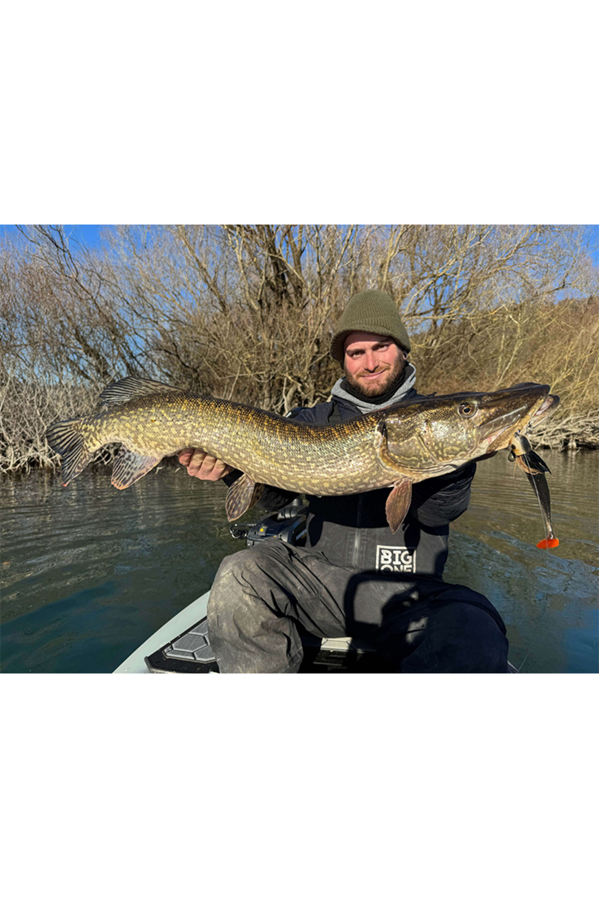 Coada de rezerva Blackbay BlackTail Shad Junior 13cm 22g Galaxy Roach 13cm 22g Galaxy Roach [3]