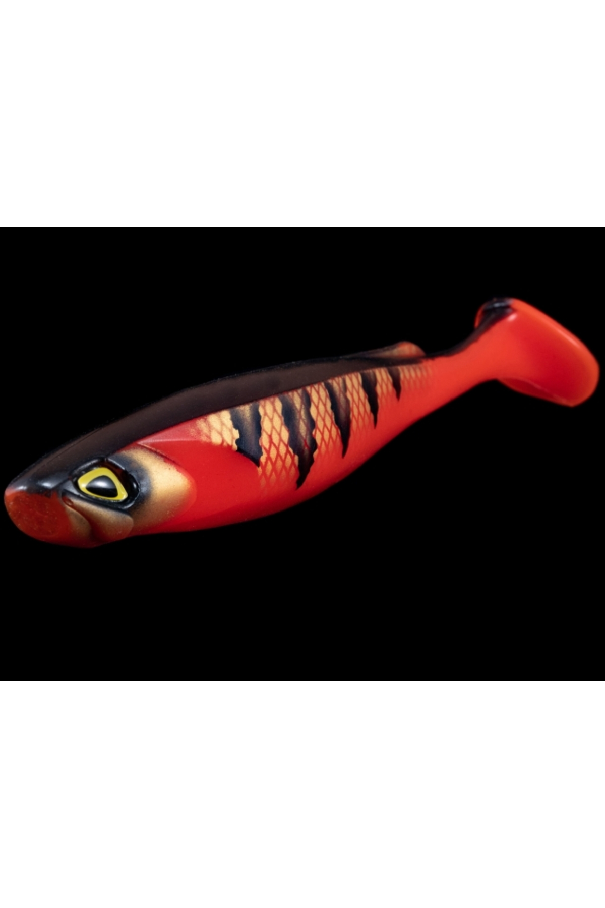 FishUp RAM Shad 20.3cm #358 Golden Shiner 20.3cm #358 Golden Shiner [2]
