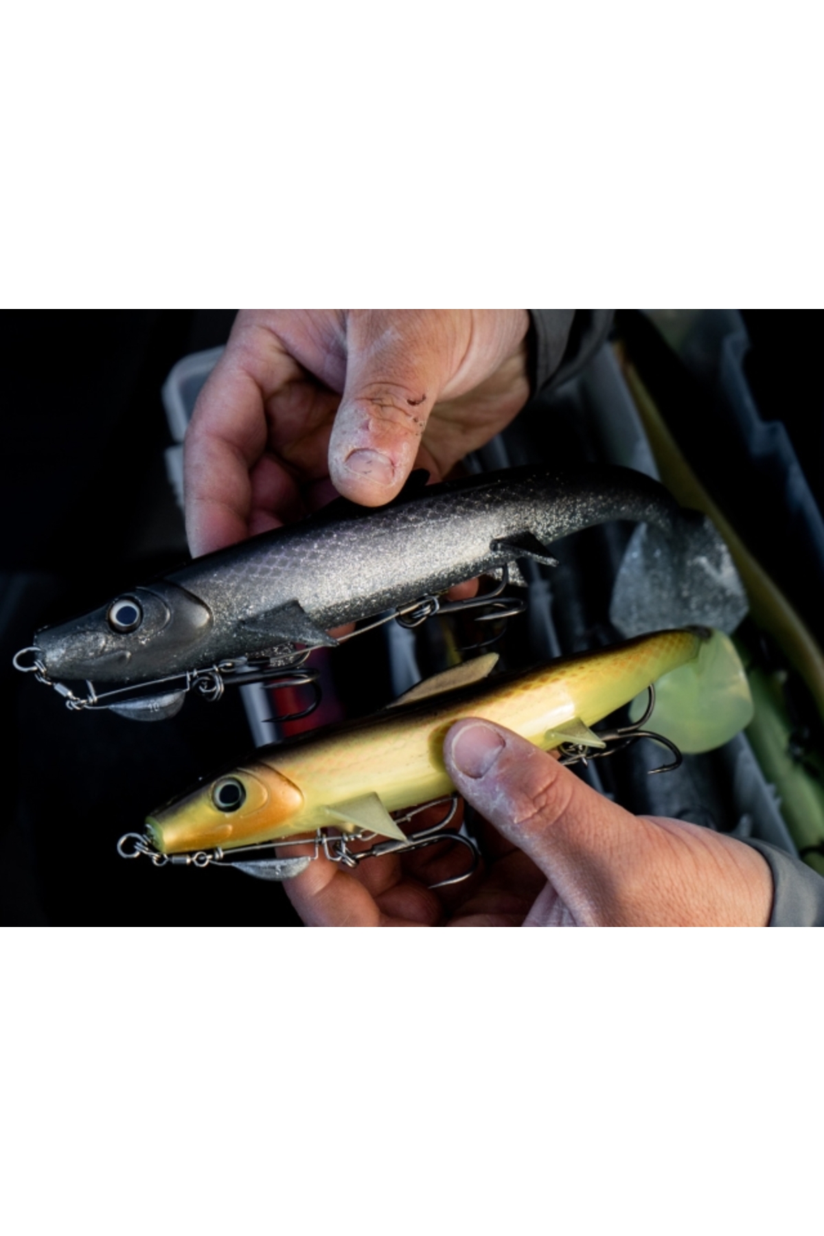 Blackbay Blackshad 20cm 55g Irish Bream 20cm 55g Irish Bream [2]