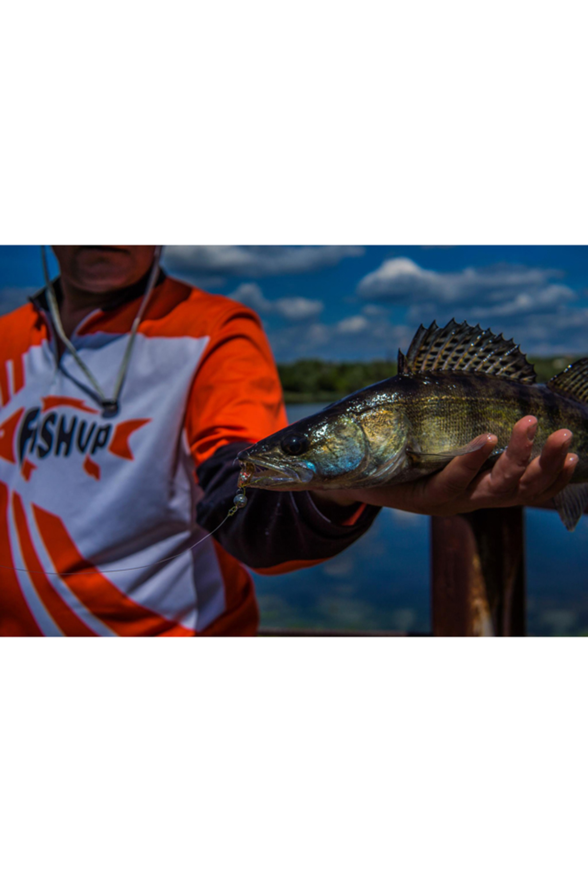 Shad FishUp Wizzy 3.8cm #016 Lox Green & Black 3.8cm #016 Lox Green & Black [3]