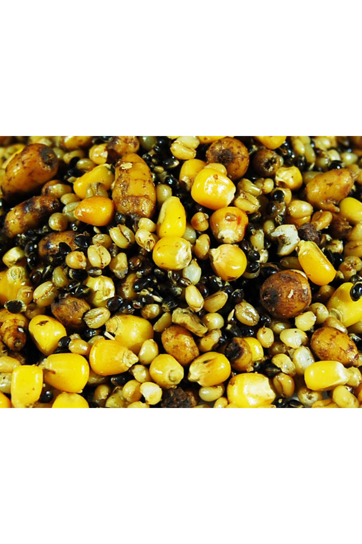 Select Baits Particle Mix 3L [2]