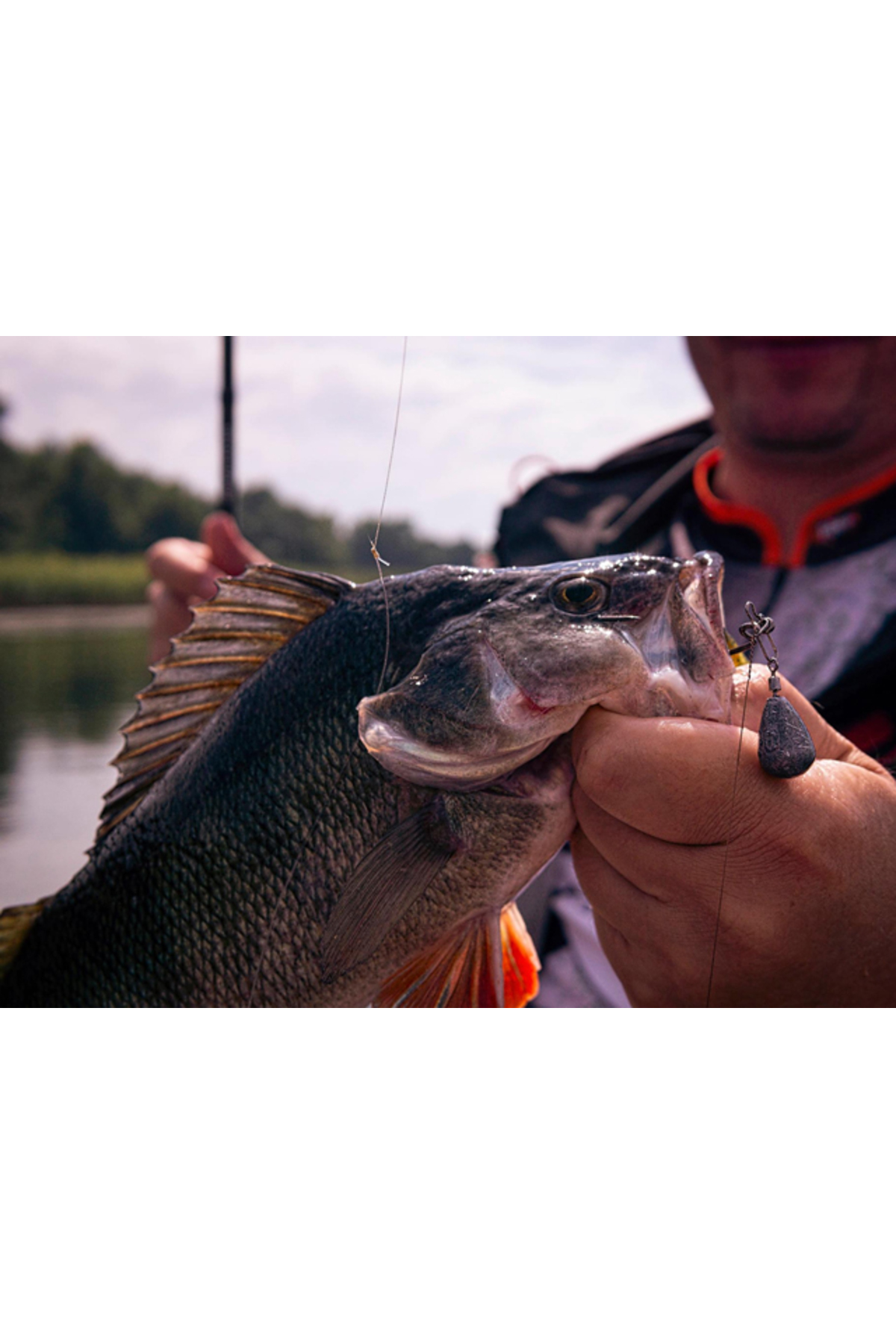 Grub FishUp Vipo 5.2cm #057 Bluegill 5.2cm #057 Bluegill [2]
